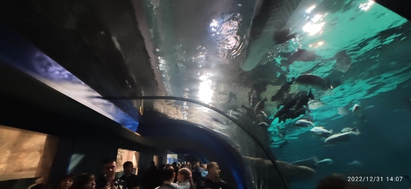 «На всю дорогу — 400 литров топлива». Белорус проехал на кемпере по России и рассказал о впечатлениях