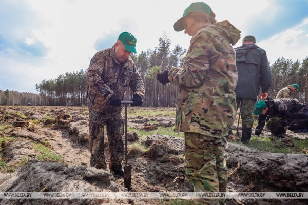Более 15 тыс. жителей Брестской области поддержали акцию «Неделя леса»