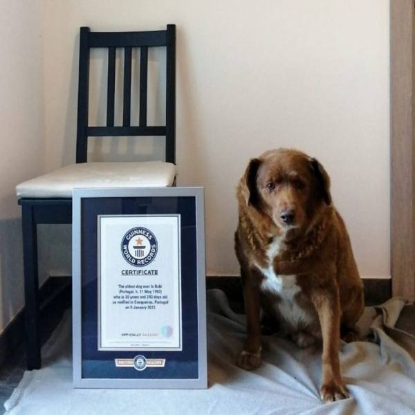 Какие мировые рекорды успели установить в 2023 году?