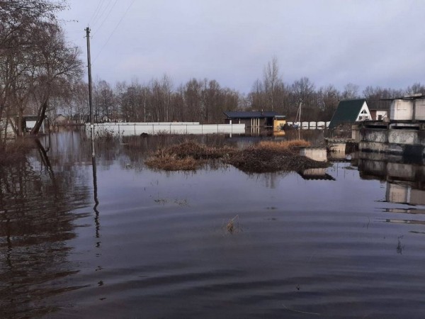 Что с паводком в Бресте и окрестностях