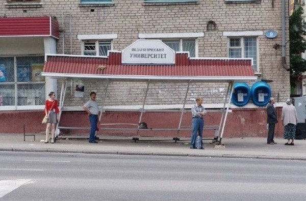 20 примеров того, что строительство не всегда подчиняется человеческой логике