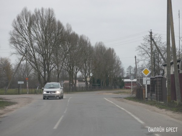 Какие документы нужны при замене водительских прав в Беларуси: информация ГАИ