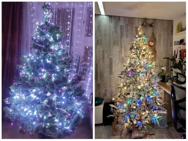 У некоторых белорусов до сих пор стоит новогодняя елка