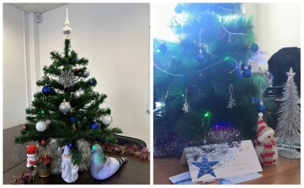 У некоторых белорусов до сих пор стоит новогодняя елка