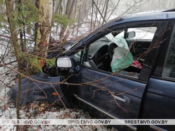 Занесло? Водитель врезалась в дерево в Брестской области