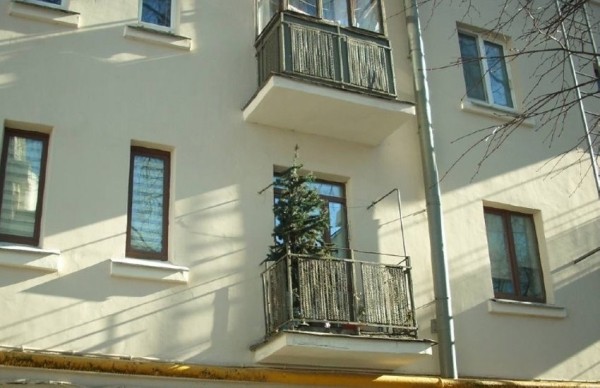 У некоторых белорусов до сих пор стоит новогодняя елка