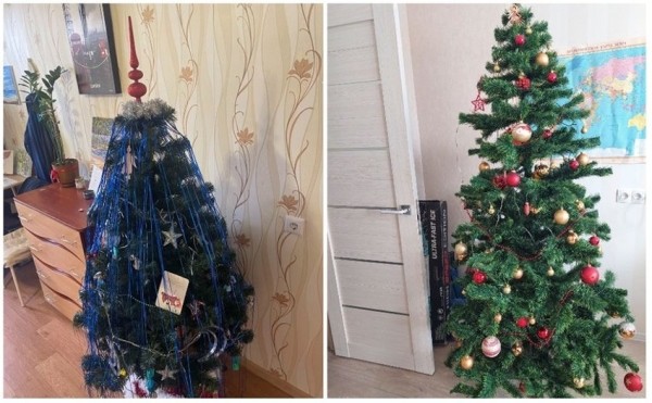 У некоторых белорусов до сих пор стоит новогодняя елка