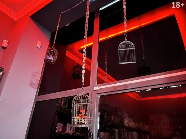 18+ Добро пожаловать во «Взрослый мир»! Место, где оживает страсть, и расширяются границы удовольствия