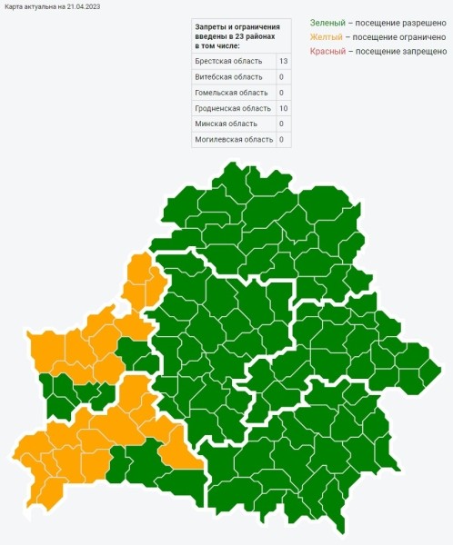 Ситуация с посещением лесов в Брестской области