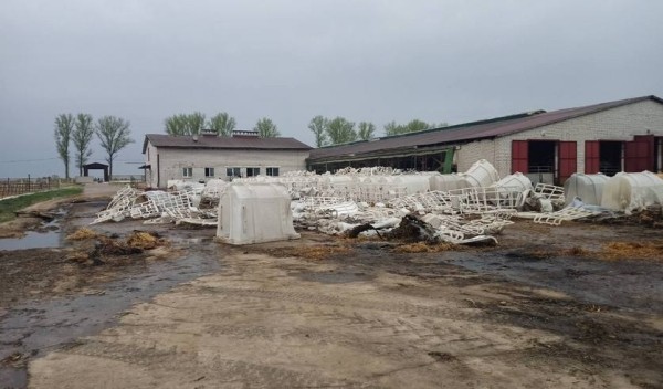 В Пружанском районе в огне погибли телята