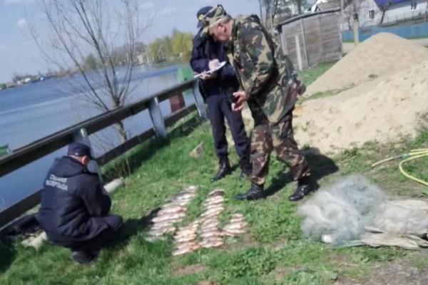 Рыбы на 291 базовую штрафов наловили белорусы