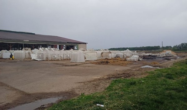 В Пружанском районе в огне погибли телята