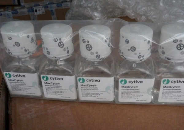 Раствор для электропорации стоимостью порядка 35 тыс. рублей пытались незаконно переместить из Германии. Нарушение выявили брестские таможенники