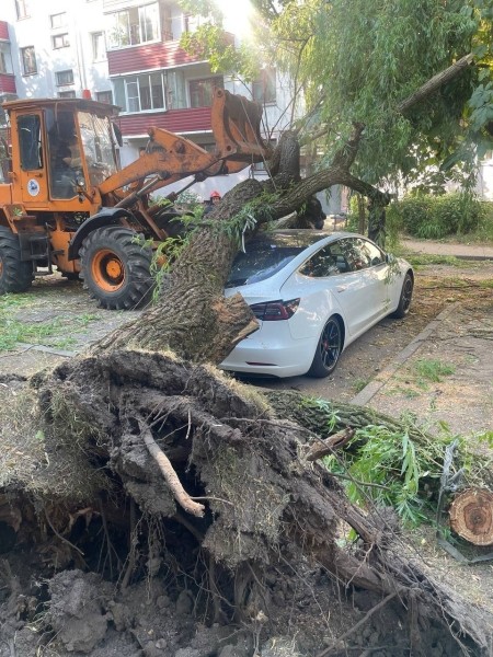«Сосед разбудил, сказал: выходи». Во дворе дерево рухнуло на Tesla