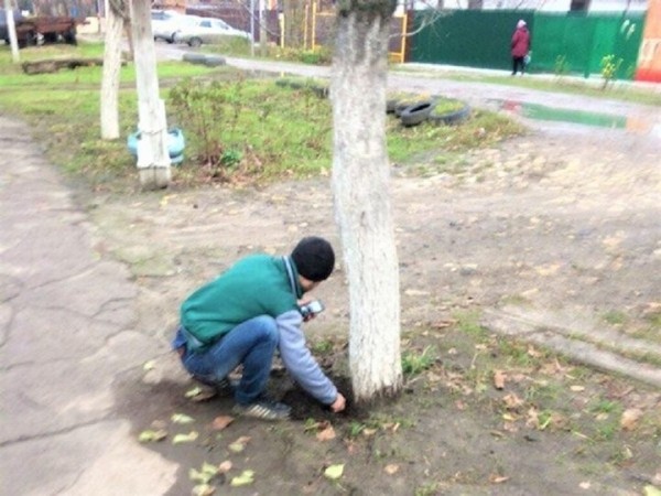 Курьера-закладчика из Бреста приговорили к 14 годам колонии