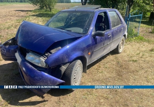 Жительница Брестской области на «Форде» столкнулась с опорой линии электропередачи