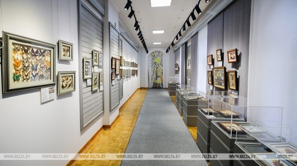 «Порхающие цветы». Выставку бабочек презентовали в Бресте