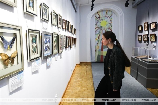 «Порхающие цветы». Выставку бабочек презентовали в Бресте