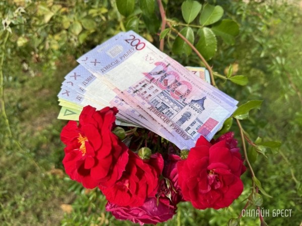 Минимальная зарплата в Беларуси с 1 января — 726 рублей