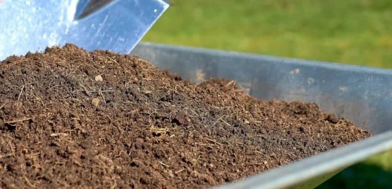 
												Чем отличается компост от перегноя?
											