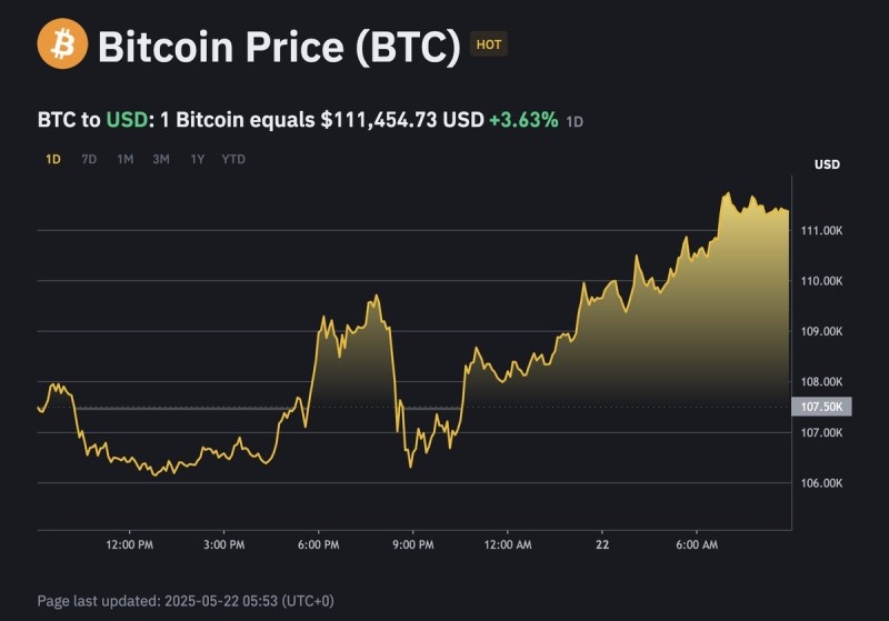 Курс биткоина установил исторический рекорд — более $111 000