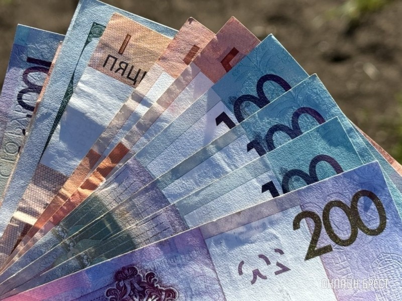 Более 9000 рублей. Кто из белорусов может получить такую субсидию