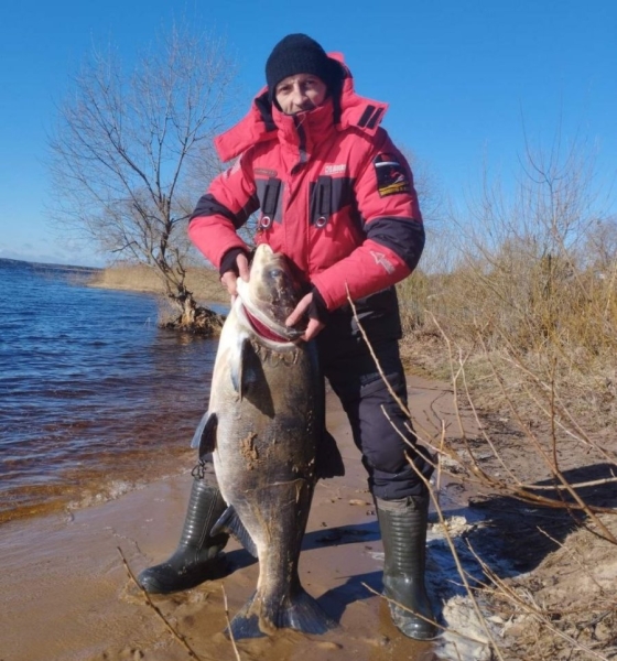 Белорус поймал 30-килограммового толстолобика