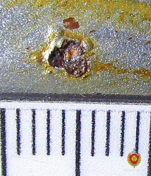 Взяли в салоне новый автомобиль, а на нем «жуки» — как такое возможно?