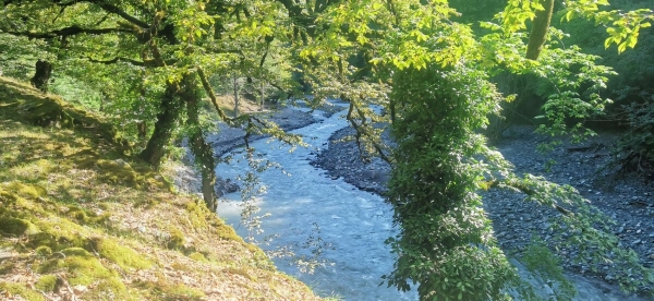 «Вдоль дороги — венки и памятники». Белорус в одиночку отправился в горы Грузии, где даже страховка не действует