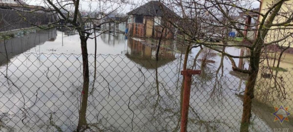 Фотофакт. Подтопило участки возле Бреста и по области