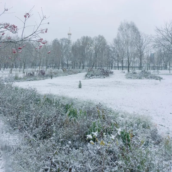 «Кветка-парк» – новое место на карте Бреста