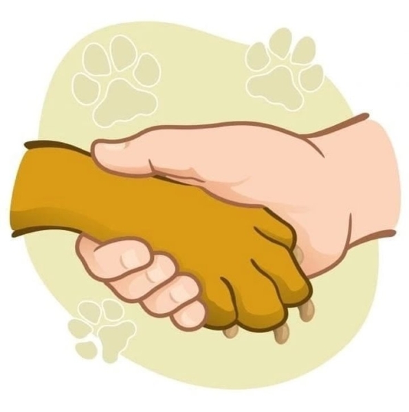 УТИБОЗЕМОЙ, какая лапочка! 23 марта отмечается день щенка