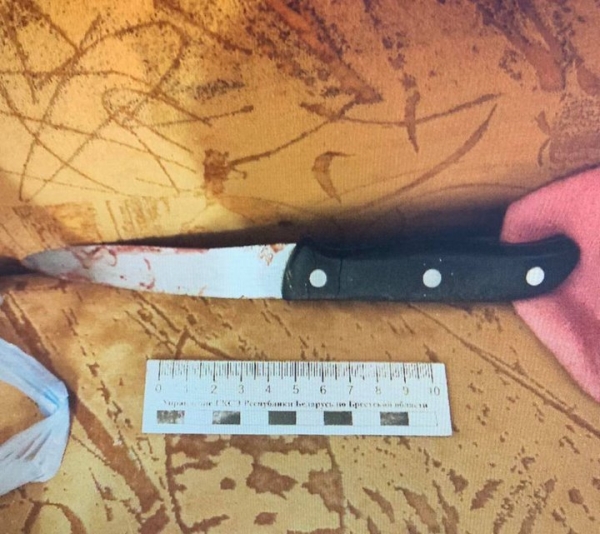 В Брестской области муж ударил жену ножом и электрошокером
