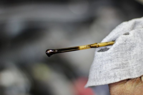 «Отдал полпенсии за первое ТО!». Пенсионер возмущен стоимостью обслуживания у дилера Renault