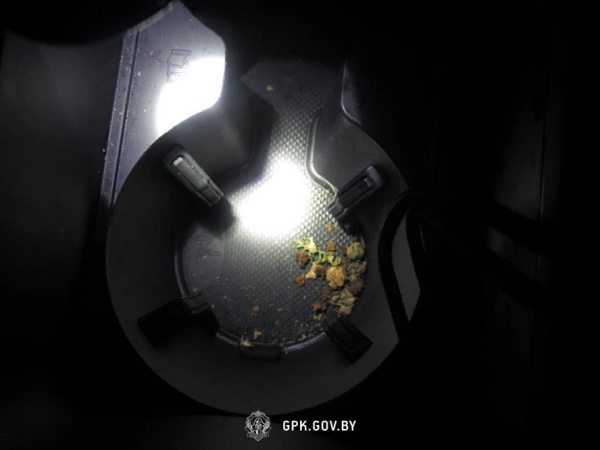 Два случая на границе: в авто на лафете снова нашли запрещенные к провозу вещества