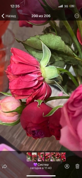 «Вялые и засохшие цветы — это норма?» Разбираемся, можно ли вернуть деньги за плохой букет