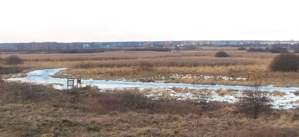 В Беловежской пуще раньше срока появились первые весенние птицы-мигранты