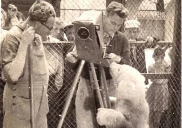 Как полярный летчик из Бреста поселил дома пингвина и медвежонка, о котором писал стихи Маршак