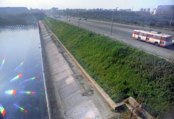 Спас людей из тонущего троллейбуса ценой карьеры. История советского пловца-супергероя