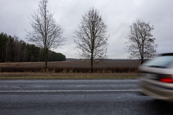 От испуга до «уголовки». Разбираемся, накажут ли водителя, если он сбил животное в зоне действия особого знака