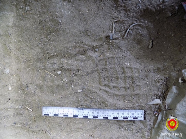 Кражу имущества из сараев раскрыли по оставленному следу обуви. Случай в Брестской области