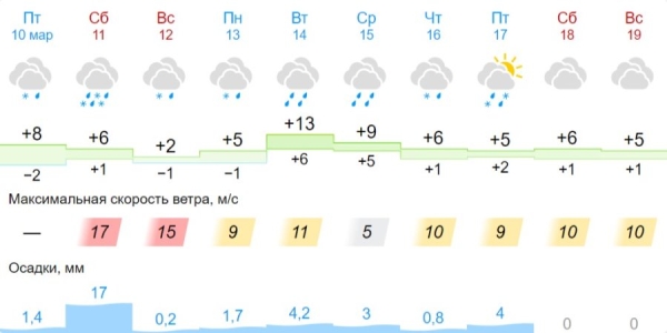 В Бресте и области на 11 марта объявлен оранжевый уровень: гололедица и сильный ветер