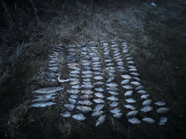 У браконьеров в Брестской области обнаружили рыболовные сети длиной почти километр