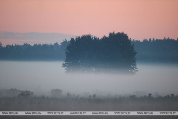 Осеннее утро в Беловежской пуще