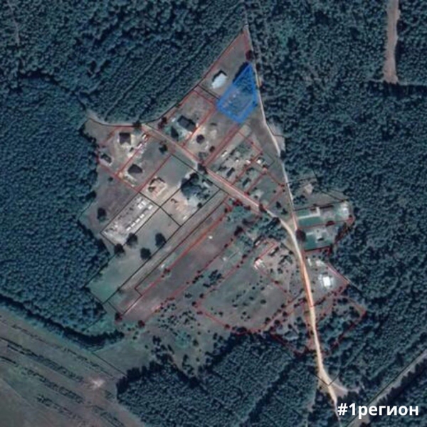 Участок в Беловежской пуще ушел с молотка за рекордную цену