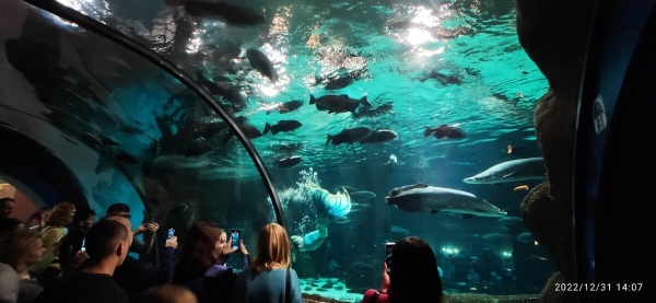 «На всю дорогу — 400 литров топлива». Белорус проехал на кемпере по России и рассказал о впечатлениях