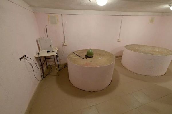 Волна из Турции дошла за 4 минуты: как в Беларуси фиксируют землетрясения