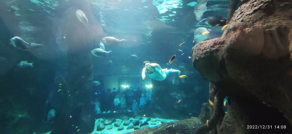 «На всю дорогу — 400 литров топлива». Белорус проехал на кемпере по России и рассказал о впечатлениях