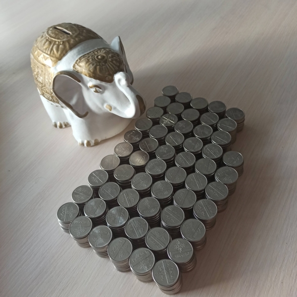 «Собрал монетами 4000 рублей». Белорусы показывают свои копилки