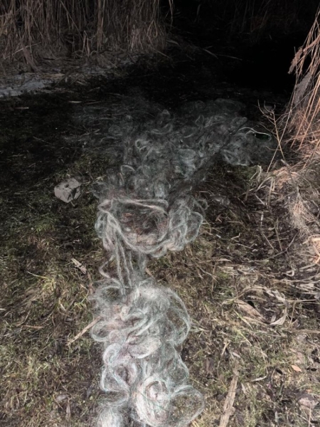 У браконьеров в Брестской области обнаружили рыболовные сети длиной почти километр